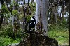 Billed 10.JPG