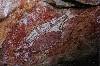 kakadu 11.JPG
