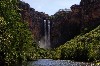 kakadu 15.JPG