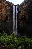 kakadu 17.JPG