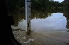 kakadu 19.JPG