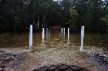 kakadu 20.JPG