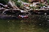 kakadu 22.JPG