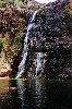kakadu 24.JPG