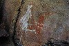 kakadu 03.JPG