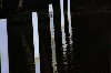 kakadu 31.JPG