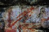 kakadu 33.JPG