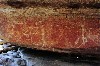 kakadu 35.JPG