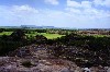 kakadu 36.JPG