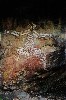 kakadu 05.JPG