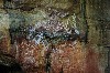 kakadu 06.JPG