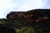 kakadu 07.JPG