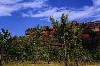 kakadu 09.JPG